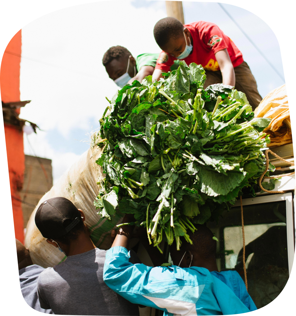 Produce being loaded for market delivery