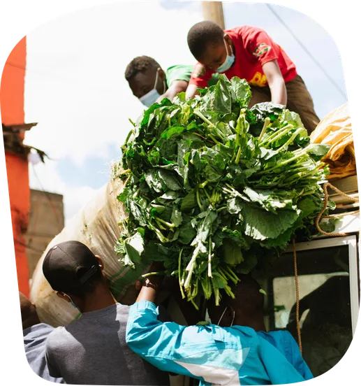 Produce being loaded for market delivery